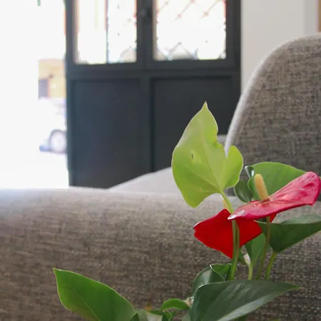 U Zone Apartment *