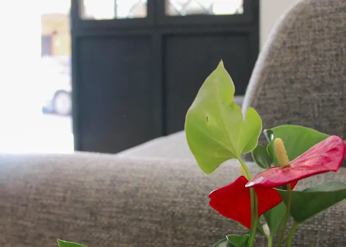 U Zone Apartment *